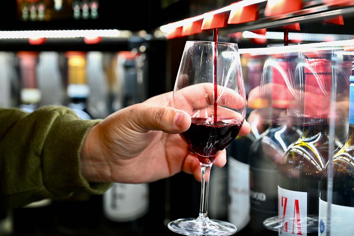 wines on tap at The Fool's Lantern